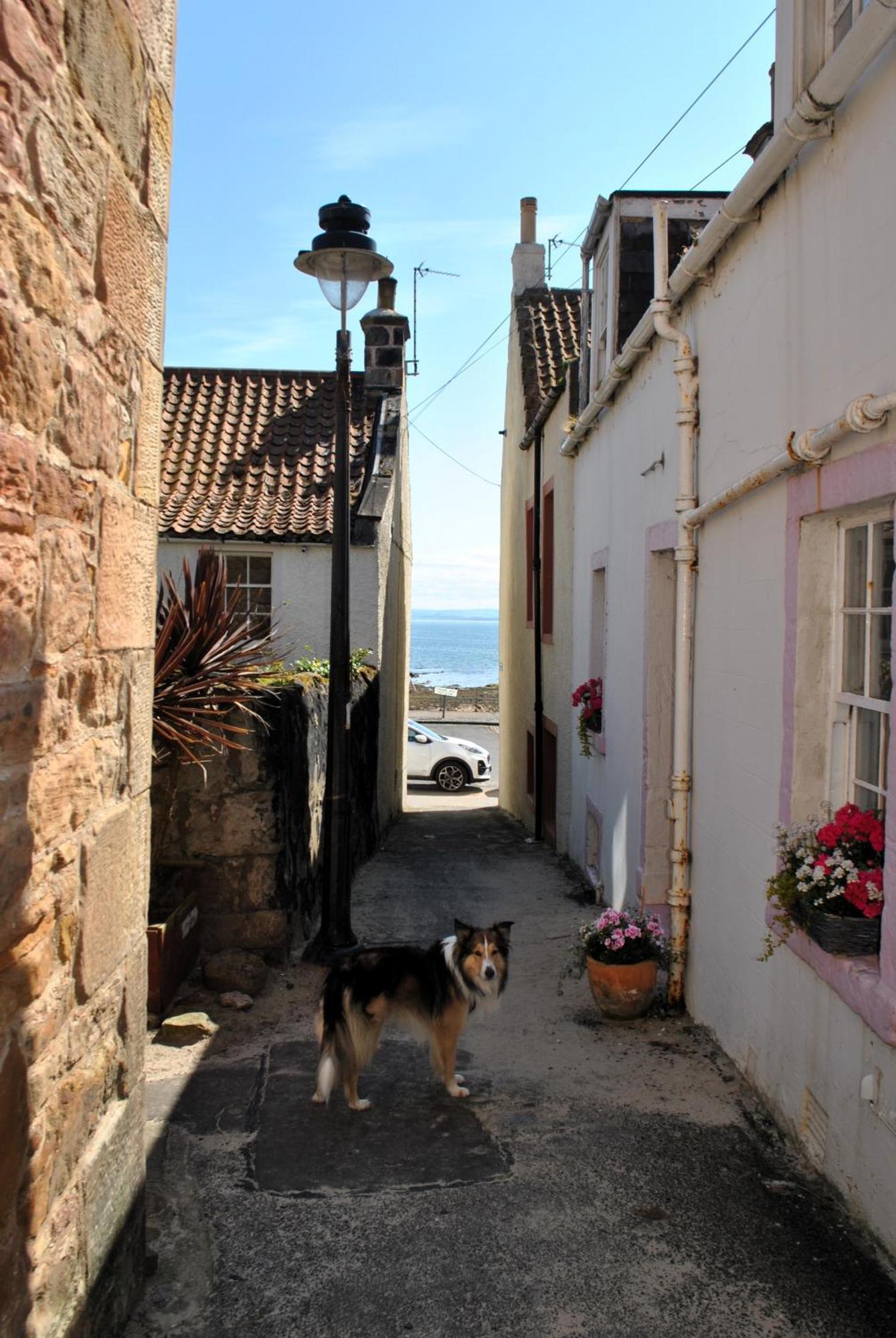 Dookers Nook- Quirky Coastal Cottage พิทเทนวีม ภายนอก รูปภาพ