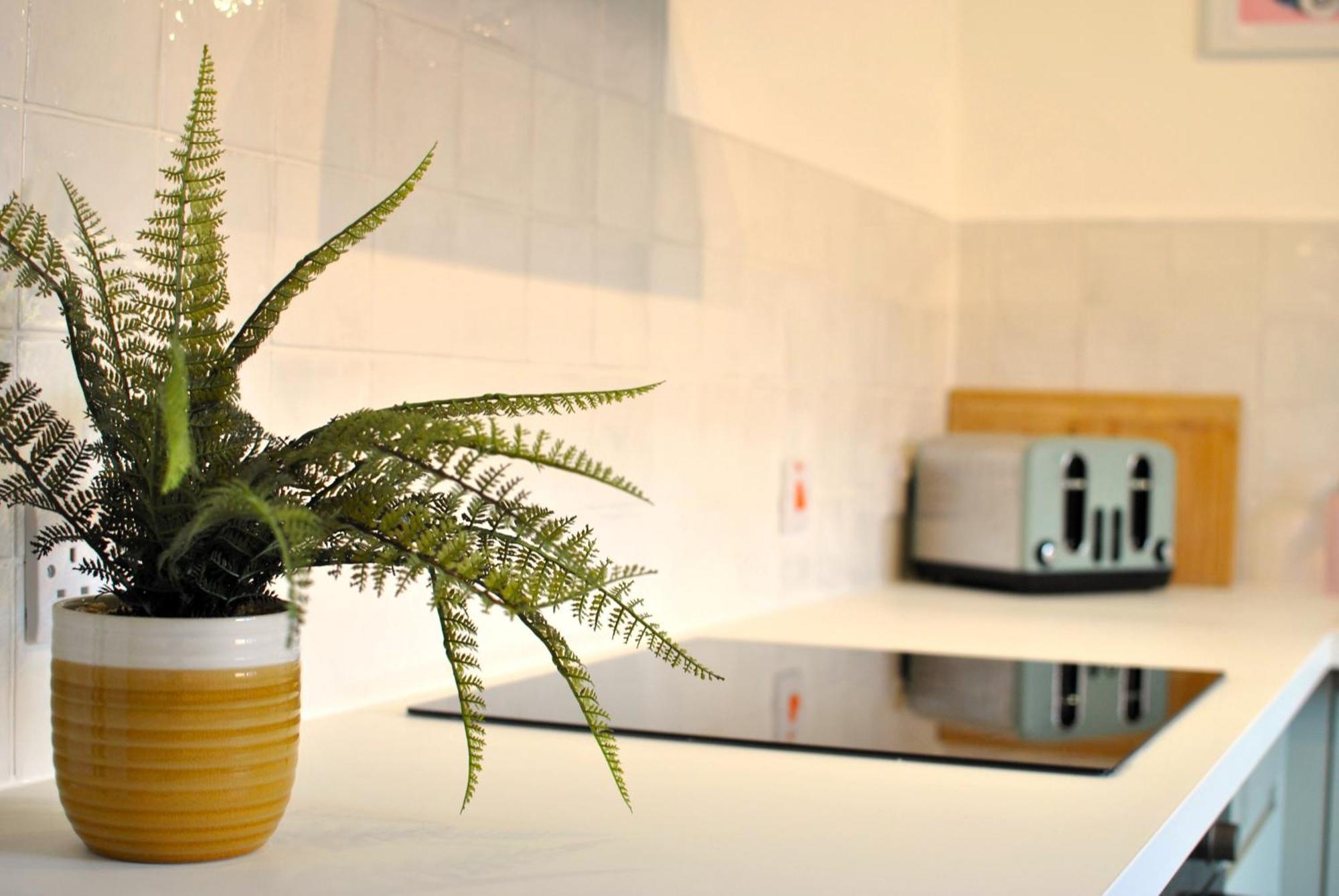 Dookers Nook- Quirky Coastal Cottage พิทเทนวีม ภายนอก รูปภาพ